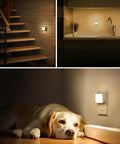 Led Night Light 2 Pack Plug In Wall Dusk To Dawn Auto On Off 3000K Soft White 0.3W in stairway, kitchen, near dog.