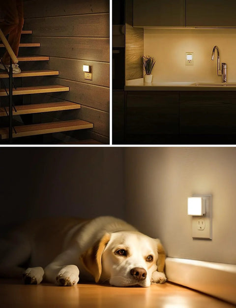 Led Night Light 2 Pack Plug In Wall Dusk To Dawn Auto On Off 3000K Soft White 0.3W in stairway, kitchen, near dog.