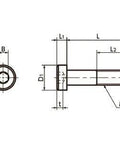 Technical drawing of ✝️ SLHS-M2-5 NBK Socket Head Cap Screws - Low Profile Pack of 50 - Made in Japan for automation and mechanical systems.