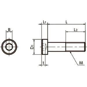 Technical drawing of ✝️ SLHS-M2-5 NBK Socket Head Cap Screws - Low Profile Pack of 50 - Made in Japan for automation and mechanical systems.