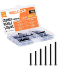 Assorted M4 Cabinet Screws Kit 25 to 50mm Black Zinc Pan Head Phillips Machine Screws 100 Pieces For Cabinet Drawers Cupboards Closets Handles Install With Upgraded Case And Built In Latch For Reliable Storage Projects shown in open case with screws visible.