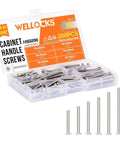 M4 Cabinet Screws Kit 200 Pieces 25 To 50mm Silver Pan Head Phillips Drive Stainless Steel in storage case with latch