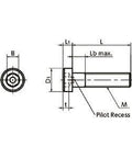 Technical drawing of SLP-M5-12 NBK Socket Head Cap Screws - Low Profile - Pilot Recess 20-Pack - Made in Japan