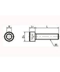 Technical drawing of SNSS-M5-8-TF NBK Hex Socket Head Cap Screws - Teflon® Coating One Screw - Made in Japan, side and end view.