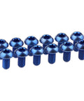 12 Pcs M5x10 Titanium Torx Bolts for Bicycle Disc Brake Rotors in blue, 6AL 4V titanium alloy, featuring T25 Torx head.