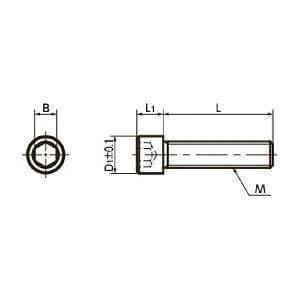 Technical diagram of SNS-M6-20-EL NBK Socket Head Cap Screw with Electroless Nickel Plating, designed for mechanical alignment.