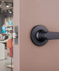Brinks Commercial 4 Pack Light Duty Keyed Door Entry Storeroom Lever Matte Black installed on commercial door