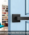 4 Pack Matte Black Dummy Door Handles For Interior Doors Non Turning No Lock Lever Set on blue door with closet view