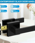 10 Pack Matte Black Interior Door Handles and Passage Door Levers for Hallways and Closets on display table