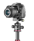 Professional Metal 360 Degree Rotating Panoramic Ball Head With One Quarter Inch Quick Release Plate and DSLR camera on tripod