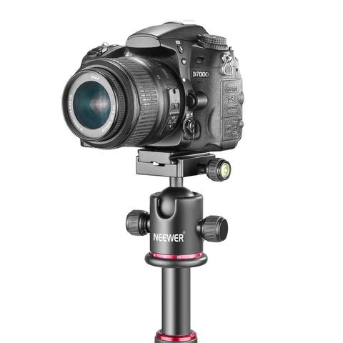 Professional Metal 360 Degree Rotating Panoramic Ball Head With One Quarter Inch Quick Release Plate and DSLR camera on tripod