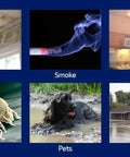 Collage showing causes of air quality issues: mildew, smoke, fire, mites, pets, flood.