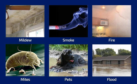 Collage showing causes of air quality issues: mildew, smoke, fire, mites, pets, flood.