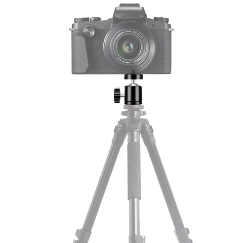 Camera on tripod with Six Pack Mini Universal Ball Heads For Tripods And Mounts With One Quarter Inch Thread 360 Degree Rotation