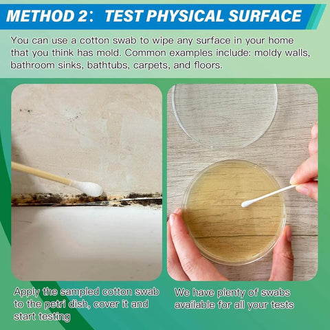 Using the Mold Test Kit for Home - 12 Simple Detection Tests,Test HVAC System,Home Surfaces,& Indoor Air Quality Testing Kits,DIY Mold Detector at Home,Includes Detailed Mold Identification Guide,air Tester, applying swab to petri dish.