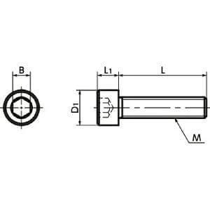 Technical drawing of SNSMN-M3-6 NBK Hex Socket Head Cap Screws (Monel 400 equiv.)- Made in Japan