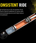Cutaway view of OESpectrum 39111 Suspension Shock Absorber for Ford Escape 2013 to 2019 and Lincoln MKC 2015 to 2019