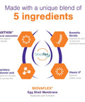 Infographic detailing 5 ingredients in Movoflex Soft Chews For Medium Dogs 40 To 80 Lb Hip And Joint Support 60 Count Supplement.