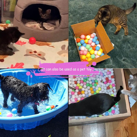 Cats and dog playing with 60Pcs Table Tennis Balls, 40mm plastic ping pong balls in various colors, used as pet toys.