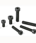 Various sizes of SPA-M5-20-LC NBK Plastic screw - Hex Socket Low Head Bolt - RENY 20-Pack Screws - Made in Japan laid out.