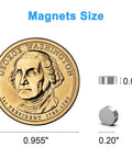 250 Pack 5x2mm Neodymium Magnets For Crafts And Projects Small Yet Strong next to a US dollar coin for size comparison.