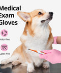 Nitrile Exam Gloves 4 Mil Medium Cherry Blossom Powder Free Latex Free Food Safe used by vet with corgi