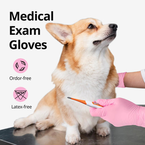 Nitrile Exam Gloves 4 Mil Medium Cherry Blossom Powder Free Latex Free Food Safe used by vet with corgi