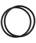 Two black R172009 O Ring For Pentair Rainbow Chlorinator Lid Model 300 To 320 Pool And Spa Chlorinator 2 Pack Heavy Duty Nitrile Rubber Seal