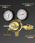 Nitrogen Regulator With Six Foot Seven Inch Hose For TIG MIG Welding CGA580 Inlet Connection Low Pressure Gauge 0 To 600 PSI High Pressure Gauge