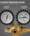 Close-up of Pro Nitrogen Regulator With 0 To 800 PSI Delivery Pressure showing dual pressure gauges