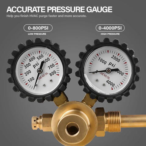 Close-up of Pro Nitrogen Regulator With 0 To 800 PSI Delivery Pressure showing dual pressure gauges