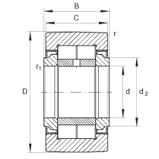 Technical drawing of NURT25UU Track Cylindrical 2-Row Roller Bearing 25x52x24mm with dimensions labeled.