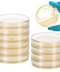 Ready To Use Prepoured Nutrient Agar Plates In 2.75 Inch Petri Dishes For Microbiology Labs And STEM Class Experiments Sterile Agar Plates