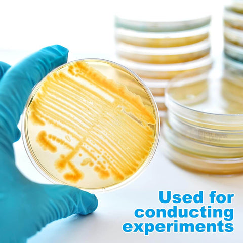 Ready To Use Prepoured Nutrient Agar Plates In 2.75 Inch Petri Dishes For Microbiology Labs And STEM Class Experiments
