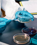 Scientist with Ready To Use Prepoured Nutrient Agar Plates In 2.75 Inch Petri Dishes For Microbiology Labs And STEM Class Experiments Sterile Agar Plates For STEM Projects Pack Of 10