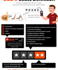 Diagram explaining OBD-II engine fault codes and scanner usage for vehicle diagnostics.