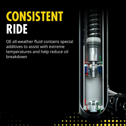 Cutaway view of OESpectrum 5647 Suspension Shock Absorber for Chevrolet Malibu with compatibility for Buick LaCrosse and Impala