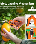 6.5 Inch Gardening Scissors Hand Pruner Pruning Shear With Straight Stainless Steel Blades Orange 1 Pack in use on orange tree