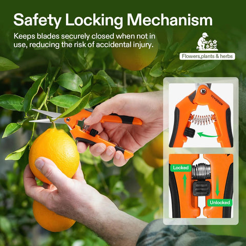 6.5 Inch Gardening Scissors Hand Pruner Pruning Shear With Straight Stainless Steel Blades Orange 1 Pack in use on orange tree