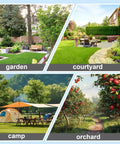Collage of outdoor settings: garden, courtyard, camp, orchard, showcasing diverse natural environments.