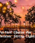 Outdoor string lights hanging in a garden at sunset, creating a warm ambiance
