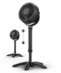 All Day Chill Pedestal Fan With Three Speed Control And Height Adjustable From 32 To 38 Inches Delivers Whole Room Air Circulation And Quiet Operation For Bedroom And Home By Vornado, shown in black with height measurement.