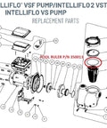 Diagram showing IntelliFlo VSF Pump replacement parts, including O Ring Replacement Kit For Pool Pumps 350013 2 Pack With Lubricant.