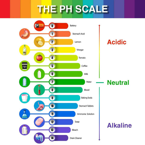 pH scale chart from acidic to alkaline with common items like vinegar, coffee, and bleach, showing pH levels.