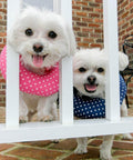 Pink Dot Size 10-13 Based On Neck Size Dog Bumper Made In USA 100 Percent Cotton Stuffed Safety Fence Collar on small dogs