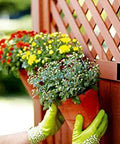 Person using Extreme Interlocking Fasteners That Bond On Contact, 4 Strips 1 Inch By 3 Inches to mount a plant on a wooden fence.