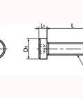 Technical drawing of a SPA-M4-16-LC NBK Plastic screw - Hex Socket Low Head Bolt - RENY 20-Pack, made in Japan, automation use