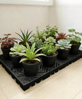 Plastic Pallet Safety Storage Nestable Grid Pads Two Pack HDPE Non Slip Platform with plants on it.