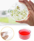 Person holding plastic petri dish with plant sprouts next to image of red liquid-filled dishes and a closed dish with logo detail.