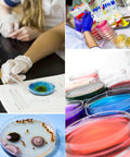 Collage of scientists using 30 Pack Plastic Petri Dishes With Lids 90mm Diameter 15mm Deep Sterile Culture Dishes for experiments.